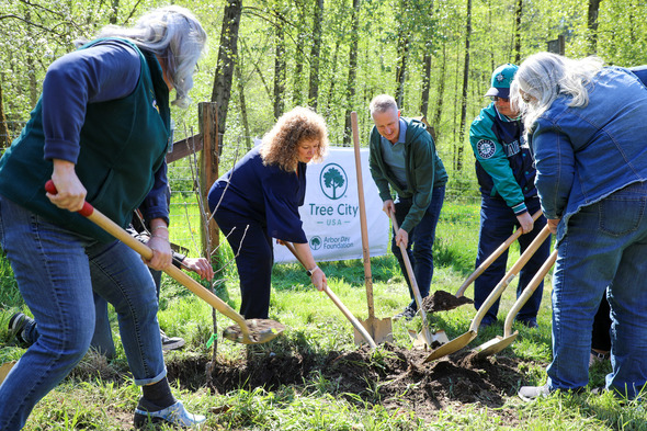 Group plants a tree together outdoors with shovels near a Tree City USA sign.
