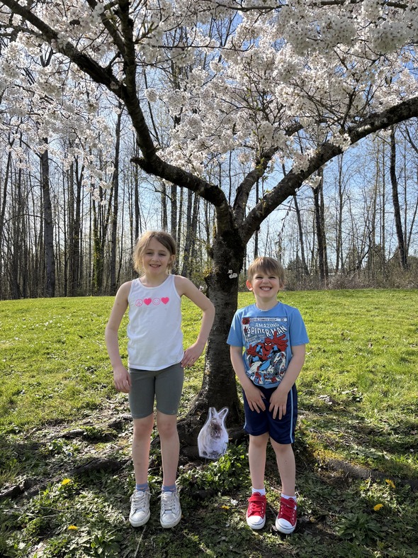 Two children smile under a blooming tree with a small bunny cutout at the base.