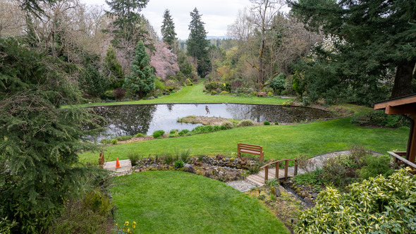 Lush landscaped park with pond, small bridges, and spring blooms surrounded by trees and walking paths.
