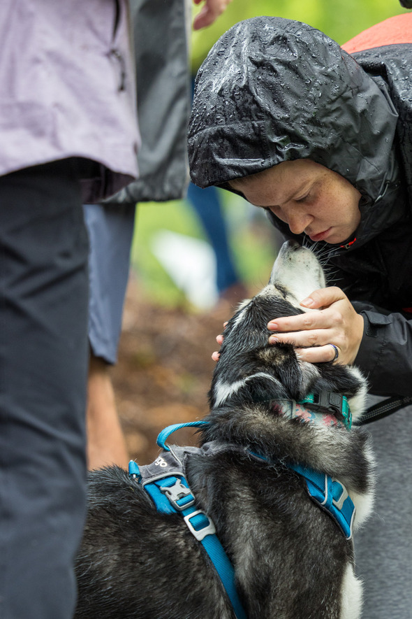 Person in rain jacket gently touching noses with a husky dog wearing a harness on a wet day.