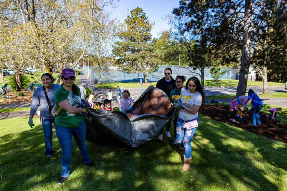 Volunteers carry yard debris in a tarp while others mulch and clean a park area on a sunny day.