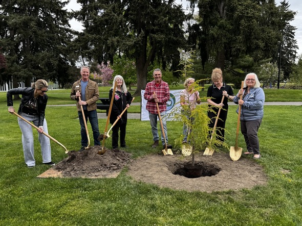 Group of adults holding shovels planting a young tree in a park during an Arbor Day ceremony.