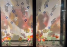 Colorful flowers with light showing through projecting on back wall by Hugo Moro