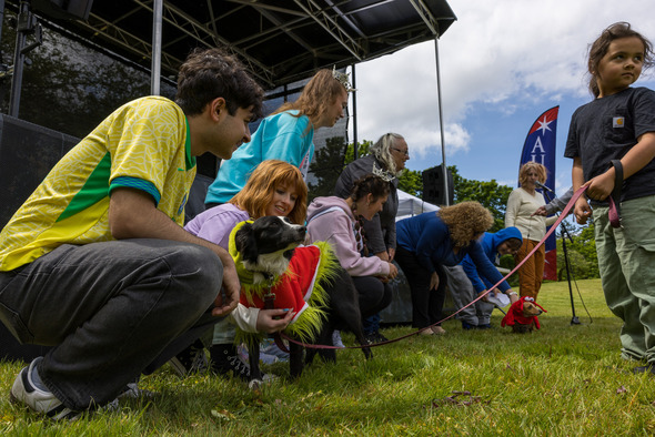 People and dogs gather on stage for a pet event contest in the park.