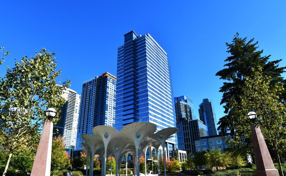 Photo of downtown Bellevue taken from park