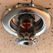 Fire sprinkler installed in a ceiling