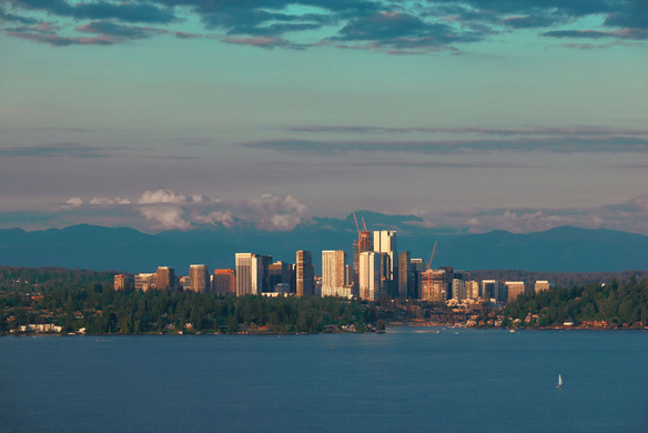Photograph of Bellevue skyline showing buildings, trees and water in the foreground