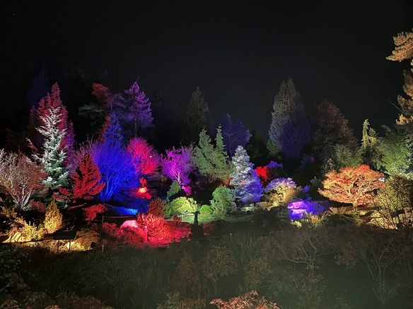 Photo by James Gagliardi. Gateway signage for Garden d'Lights and the Rock Garden featuring colored uplighting.