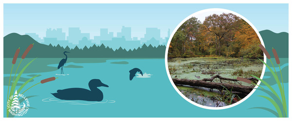 Drawing of water scene with city in the background; photo of wildlife in water