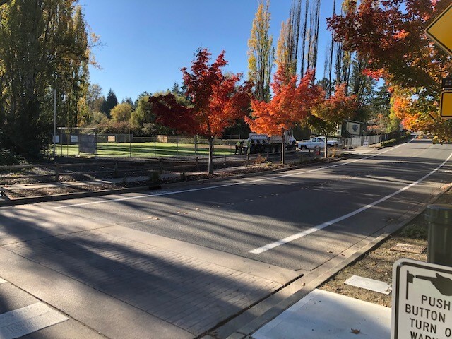Kelsey Creek at Lake Hills Boulevard