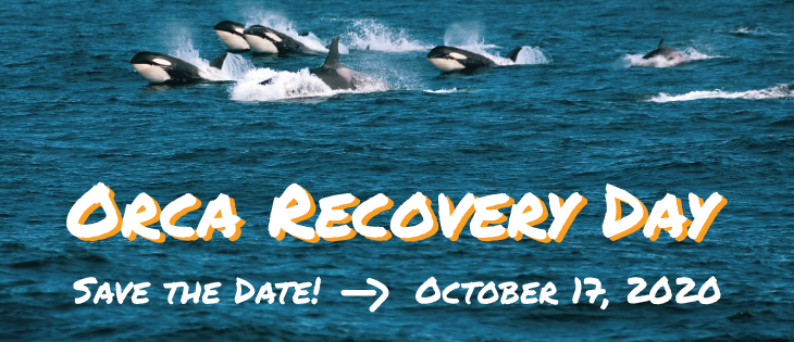 Orca Recovery Day