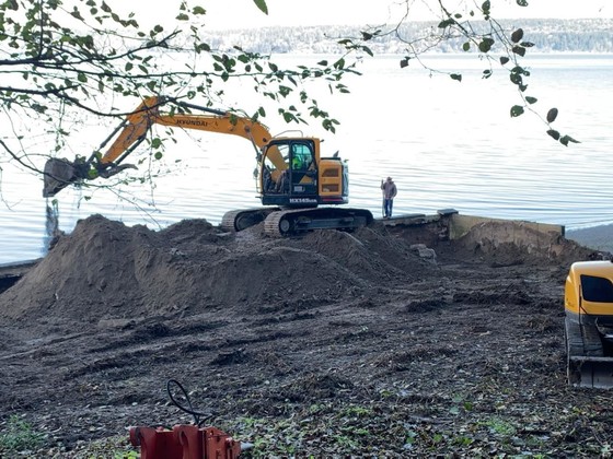 Seahorse Siesta - Lisa Kaufman