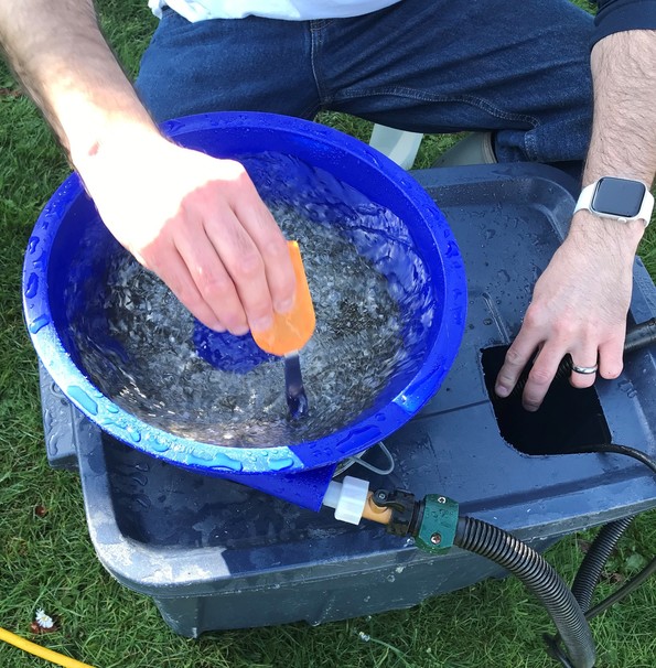Blue Bowl cropped