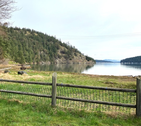 Lake Picture March 15th 