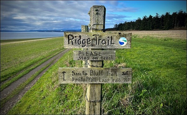 Ridge Trail