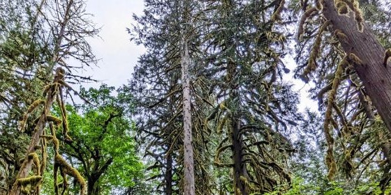 Conservation Futures Fund 2025 Open