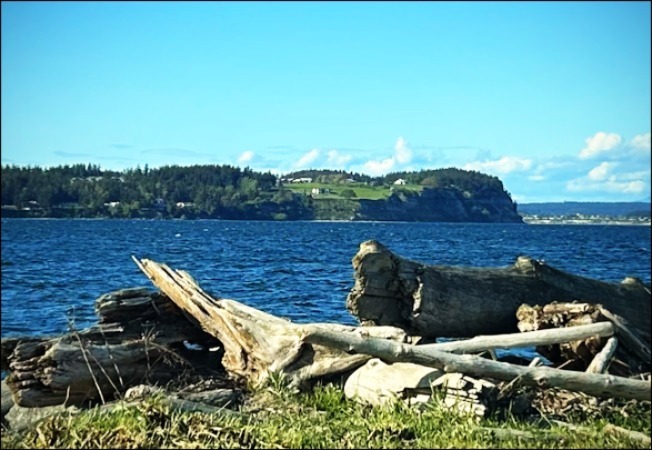 January 28, 2025 Newsletter Picture