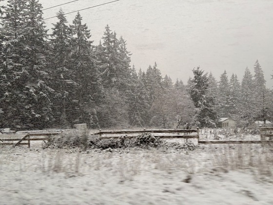 Snow Fall in February