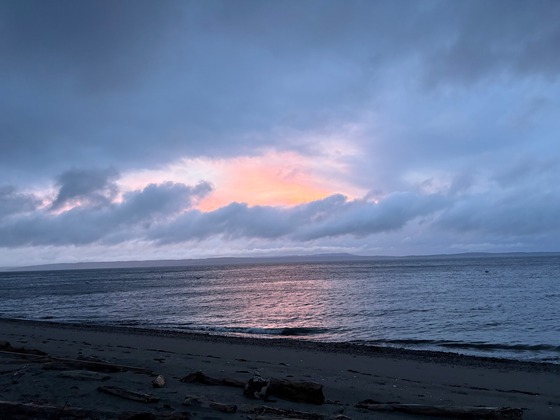 March 21 Spring Picture