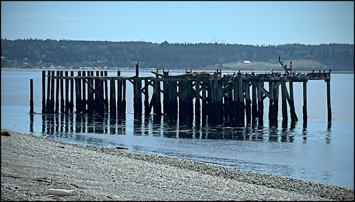 May 30, 2025 Newsletter 