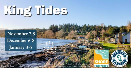 King Tides