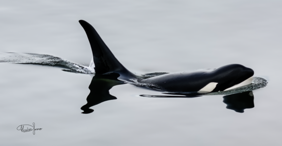 01132026 Newsletter Photo