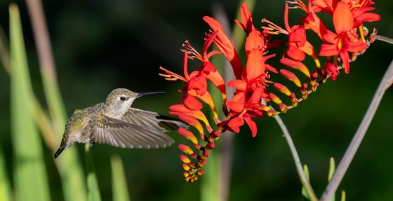 Photo by Linda LaMar