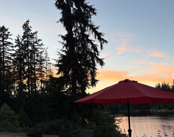 I’ve really been enjoying these lovely summer evenings.