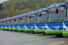 Line up of Swift Buses