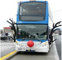 holiday bus