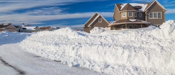 Berm Reduction Program