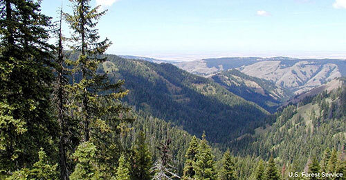A portion of the Mill Creek Watershed, with forested and bare hills and valleys