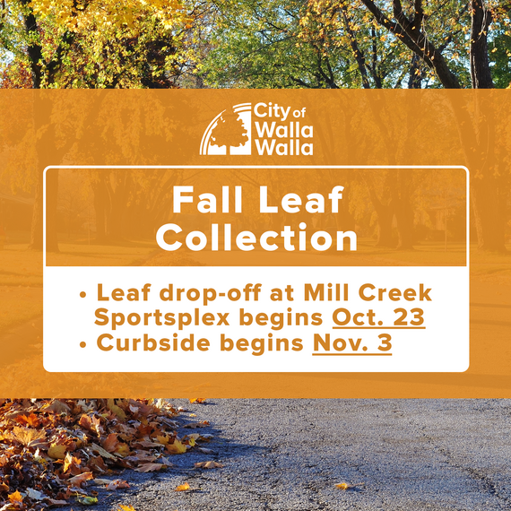 Leaf 1
