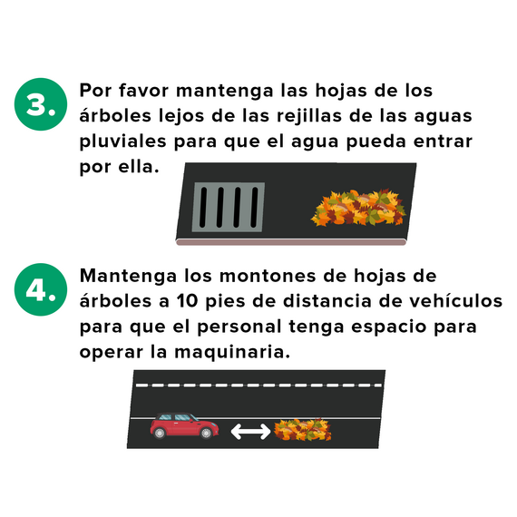 Leaf Spanish 3