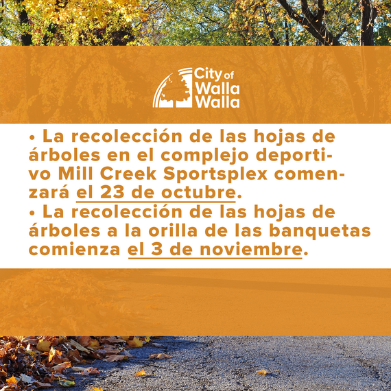 Leaf Spanish 1