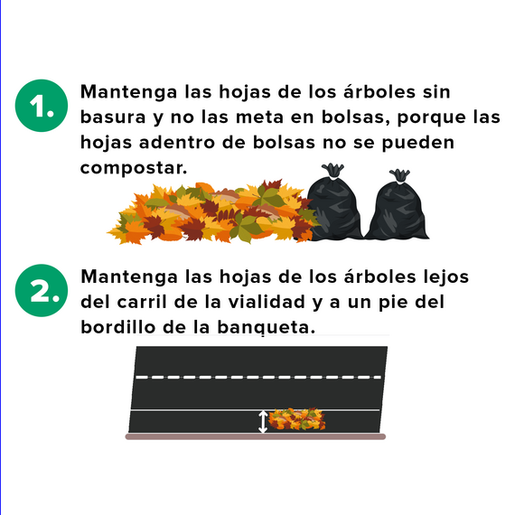 Leaf Spanish 2