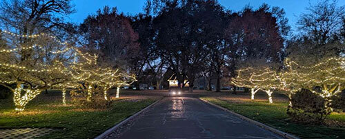Sasayama Drive in Pioneer Park with yellow string lights in the trees on both sides of the roadway and in the band stand in the distance