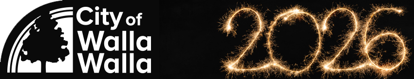The word '2026' formed by lit sparklers