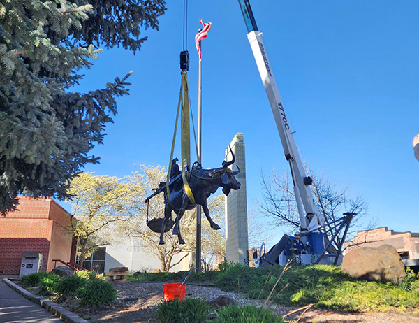 A crane lifts the statue of the cow Matilde outside the Walla Walla Public Library