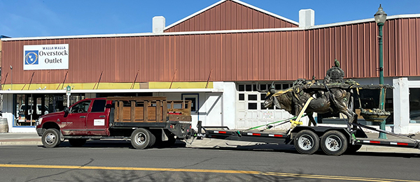 The statue of the cow Matilde on a trailer pulled by a pickup truck on Alder Street in Walla Walla