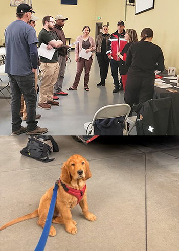 Six housing authority staffers and three CARES team members talk in a gymnasium; and a golden retriever puppy in a fire station bay