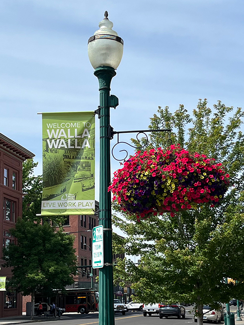 Hanging basket with bright red, yellow, and blue flowers, attached to a light pole along with a banner reading 'welcome to walla walla'