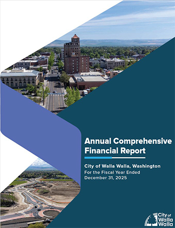 Cover of the 2025 Annual Comprehensive Financial Report