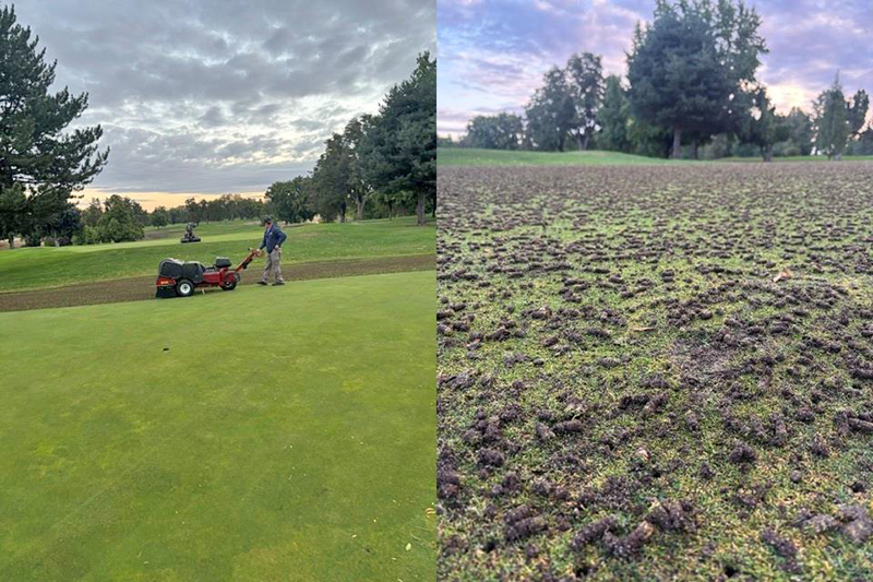 Side-by-side photos — a worker uses walk-behind machinery to aerate a green on a golf course; and a closeup of cores lying on the grass