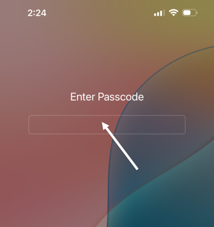 Enter Passcode_Arrow