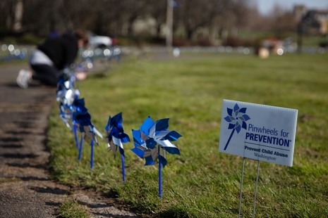 Pinwheels lining pathway with Capitol dome in background