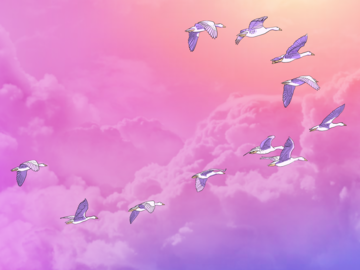 A flock of seagulls surrounded by clouds, in the pink and purple sunset, fly toward the setting sun