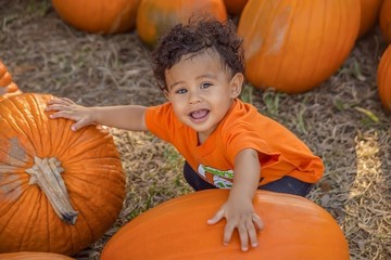 young child in pumpkin patch