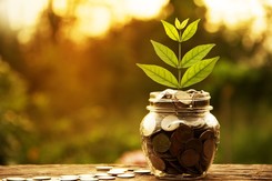 A plant growing out of a jar of coins