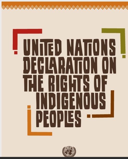 Graphic titled United Nations Declaration on the Rights of Indigenous Peoples